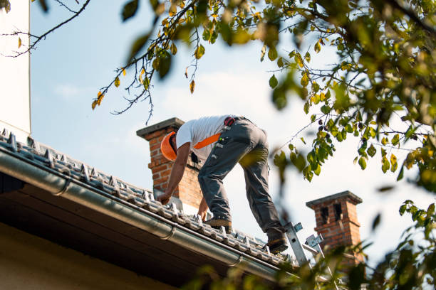 Best Affordable Roofing Company  in De Graff, OH